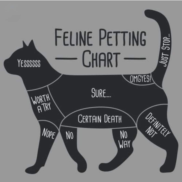 Meet your Posher, Bethany - Picture 1 of 1